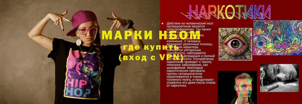 индика Лихославль