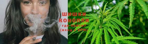 ПСИЛОЦИБИНОВЫЕ ГРИБЫ Липки