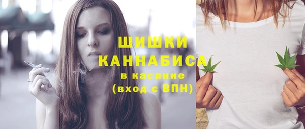 ПСИЛОЦИБИНОВЫЕ ГРИБЫ Липки