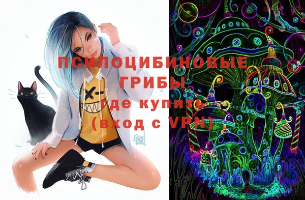 мдма Ладушкин