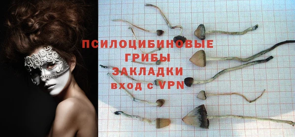 синтетический гашиш Лабытнанги