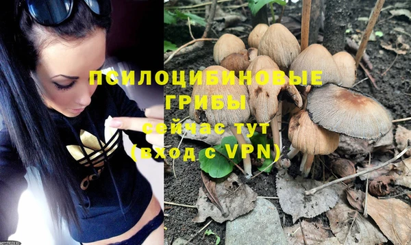 ПСИЛОЦИБИНОВЫЕ ГРИБЫ Липки