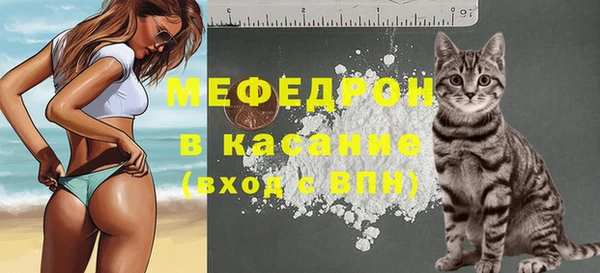 молекула духа Бородино
