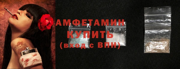 индика Лихославль