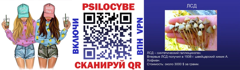 Псилоцибиновые грибы мицелий  площадка формула  Макаров  ОМГ ОМГ онион 